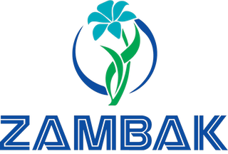 320*320 boyutlu zambak logo